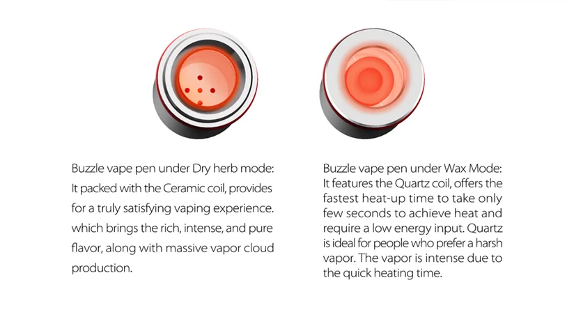 Buzzle Best Vape Pen for Wax-4