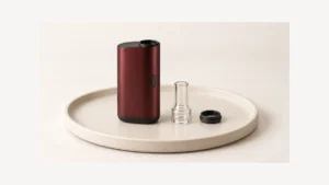 Inactive dry herb vaporizer beside separate glass mouthpiece and sealing ring